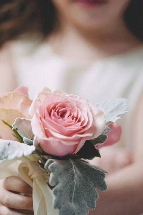 halcdon's tweet image. 