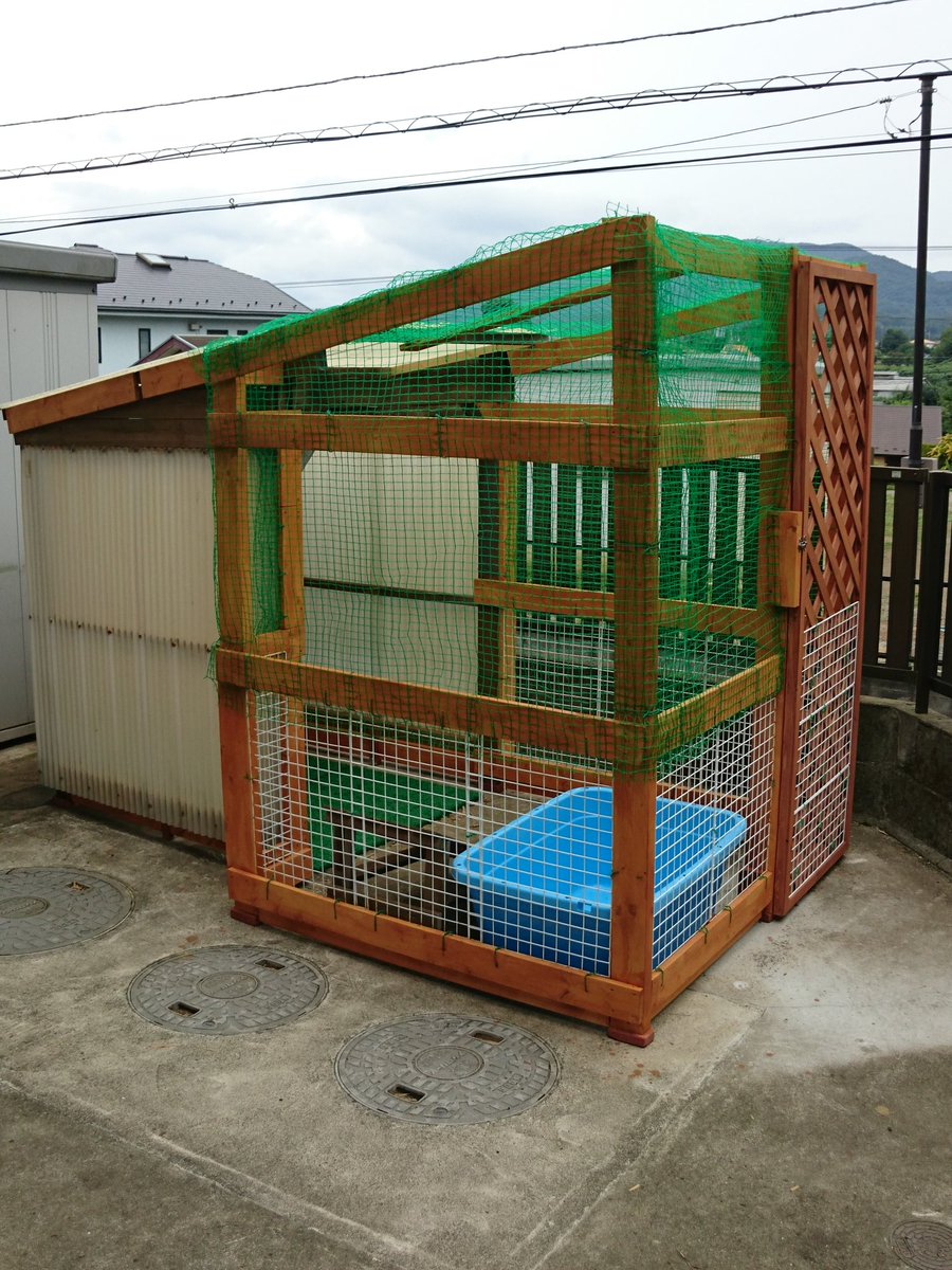 アヒル小屋完成～ヽ(￣▽￣)ノ 桶も置いた～スロープ設置した～ 後は