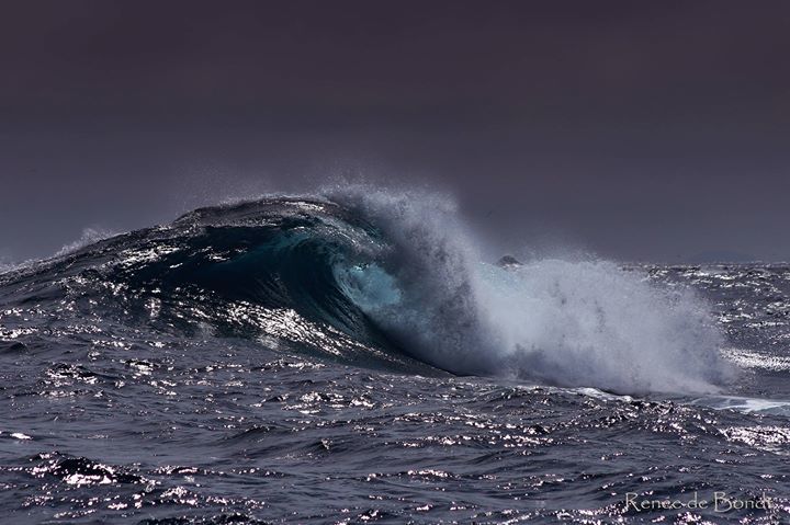 UneartheDesigns's tweet photo. Ocean <3 https://t.co/VDydq1Zapr