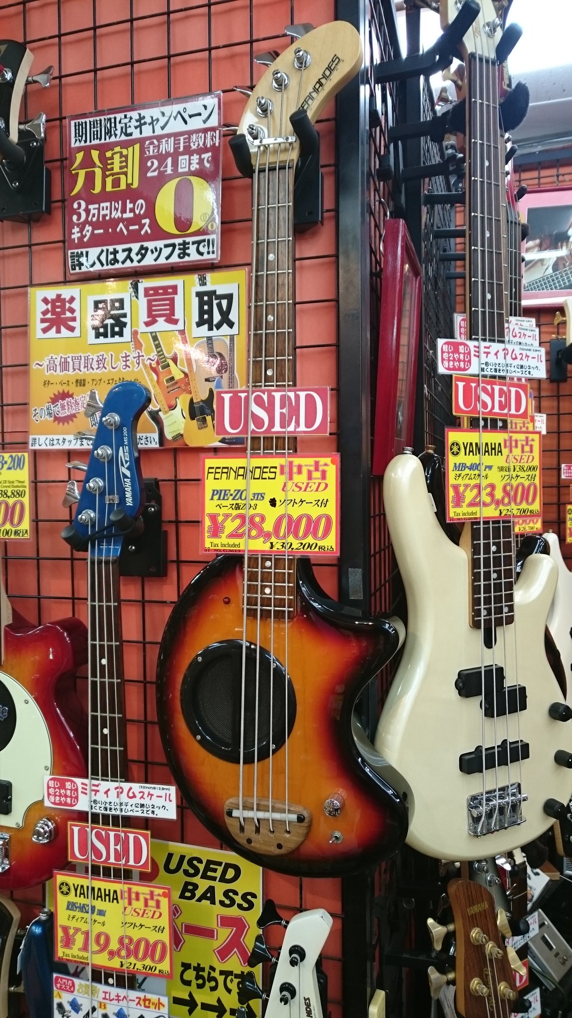 新入荷 ピグノーズ ベース Pgb 0 可愛い子豚ちやん ベース
