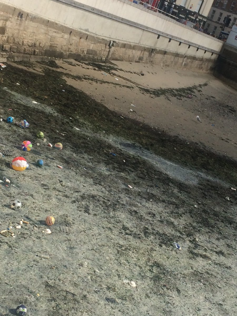 nutritiousfig's tweet photo. @ThanetCouncil would be great if you could clean this lot up 👍🏼#margate #lovemargate #Thanet https://t.co/vV5TCbJ7nI