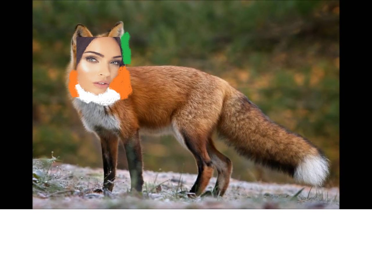 Helmut_G9's tweet photo. Ja Megan Fox halt #bad #joke #meme #pain #schlechterphotoshop https://t.co/fiVDx8KUdH
