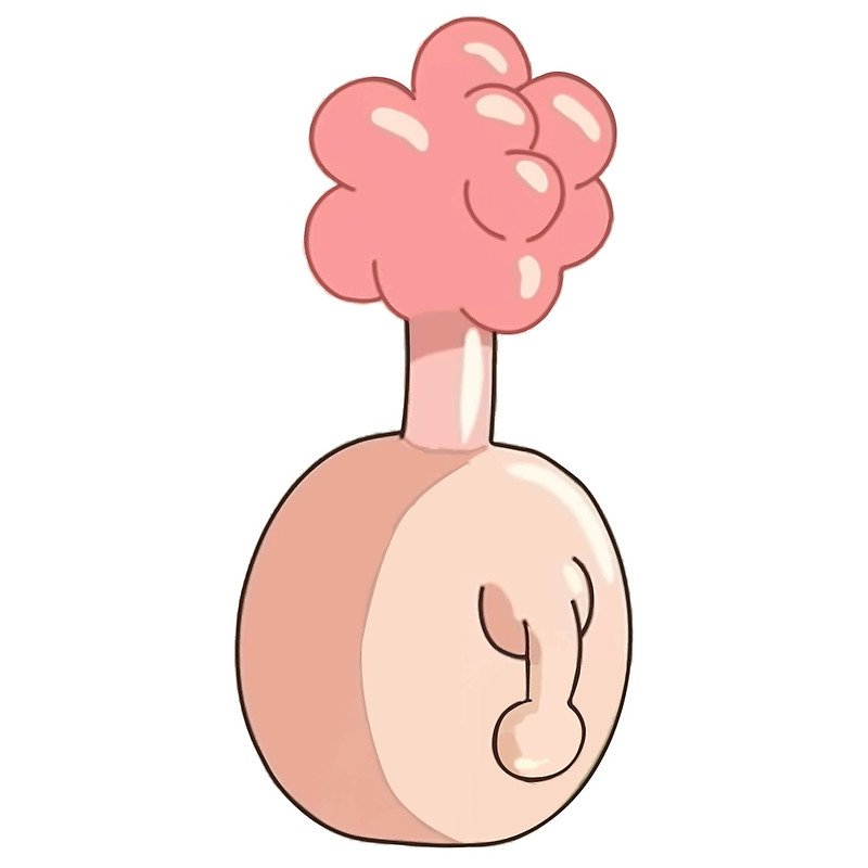 bro_malley's tweet photo. Everyone has a plumbus in their home. #rickandmortyseason3 #schleem https://t.co/cvahClomGo