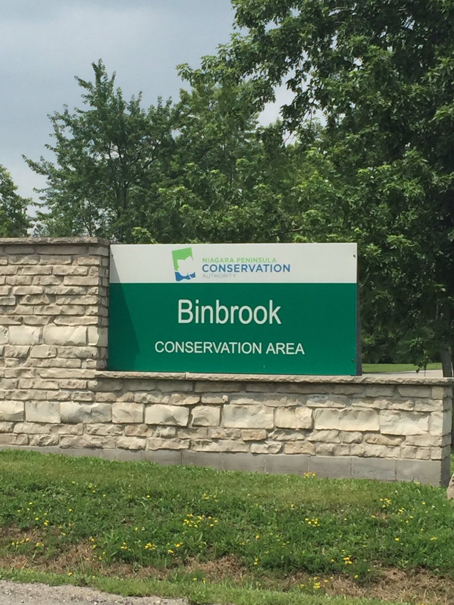 Check out Lake Niapenco, where you can bring/rent a rowboat, paddle boat, or canoe! #homesbyjbr #binbrookheights #hamont #stoneycreek