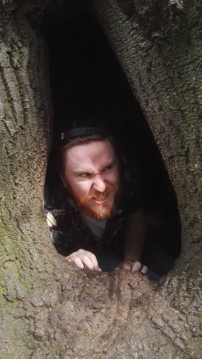 kieranhand3's tweet photo. 3 grown men doing #meinatree @NTCroome. Will we ever grow up. @WoodlandTrust #nationaltrust https://t.co/t5u4eiauBJ