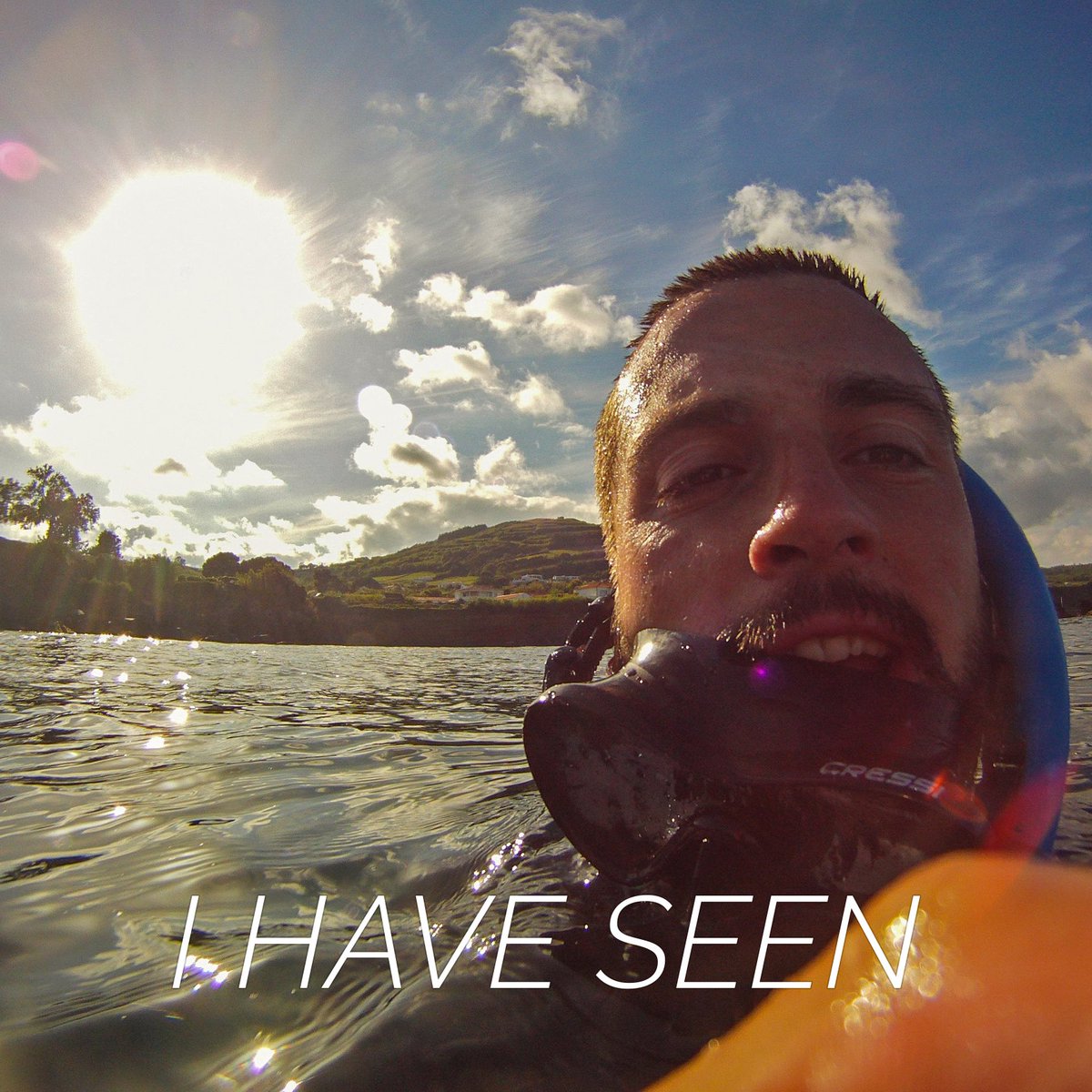 Have you also seen a marine forest? Go to: marineforests.com
#marineforests #kelp #kelpforests