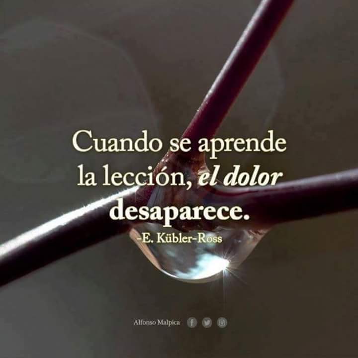 AlmasenResonanc's tweet photo. Cuando se aprende la lección... https://t.co/j1z4SADwdV