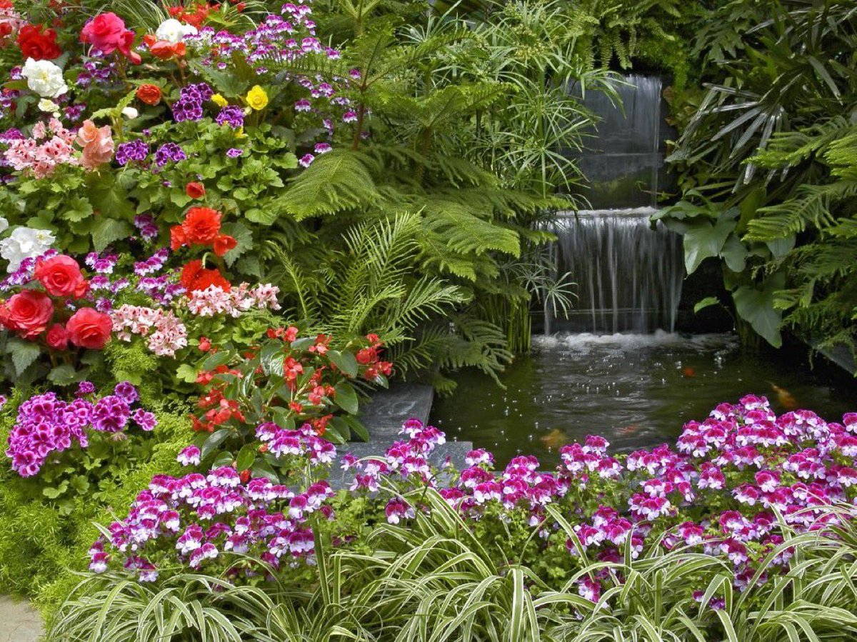 obaidd8's tweet photo. @fatoomyon هلا بالوردة البحرانية🌸🌹🌷💐🌺🌿🍀🍀💐 https://t.co/Wl5rXCHqoR