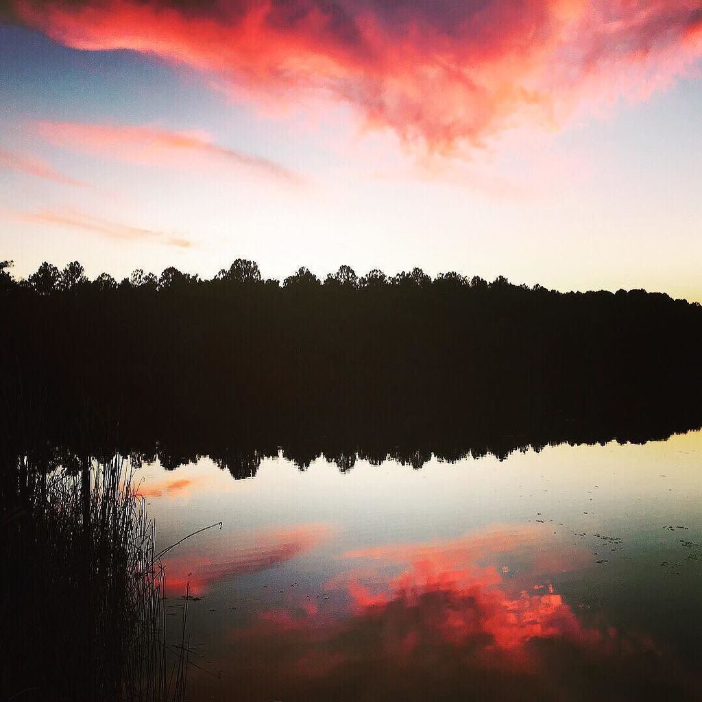 sheldon_landis's tweet photo. #beutifulnature https://t.co/7B6AFRKywV https://t.co/NK1J0h63om