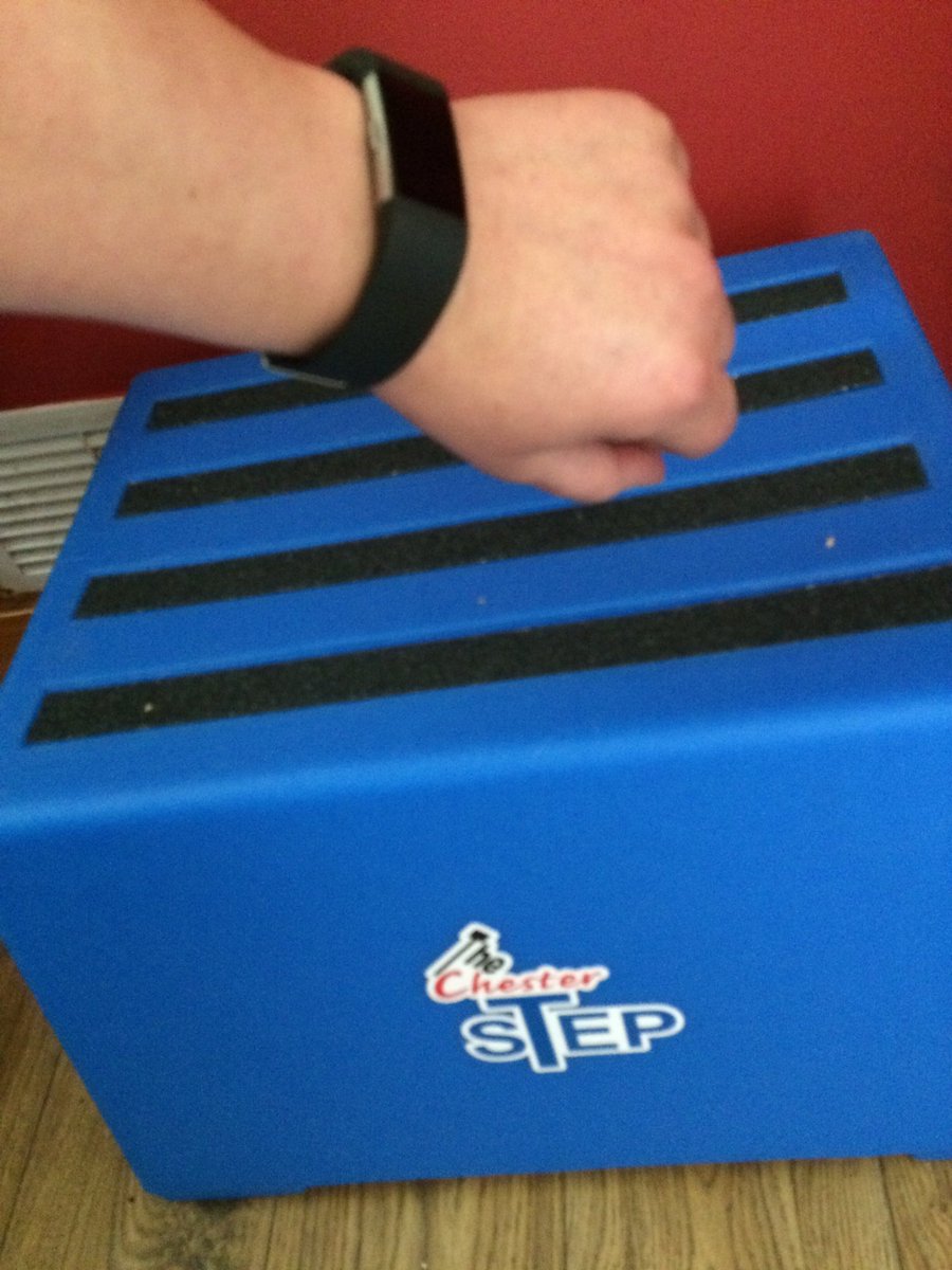 NYFRS_adeleWM's tweet photo. I've joined the #Fitbit army and bought my own #chesterstep - seems like a healthy new hobby whilst banging out #80schart https://t.co/WxjPivZNzy