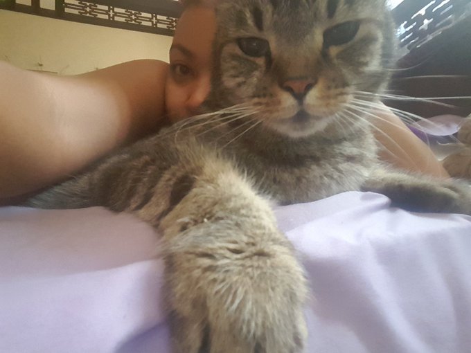 How am I supposed to get out of bed now?? https://t.co/AziIVaMKqa<a href="/tag/laserblast"class="tags"><span>#laserblast</span></a>