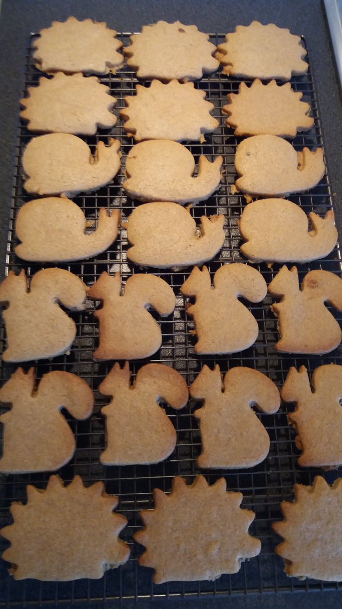 LizRansley's tweet photo. A little twist on your delicious speculoos @marthacollison ......hedgehogs, snails &amp; squirrels........why not?! https://t.co/c3xs7ItnTn