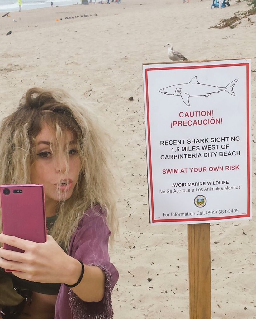 MIAREsproject's tweet photo. Genial bienvenida a las playas californianas!!! 
Aquí estamos ya 😀 https://t.co/0E3w4kan8d