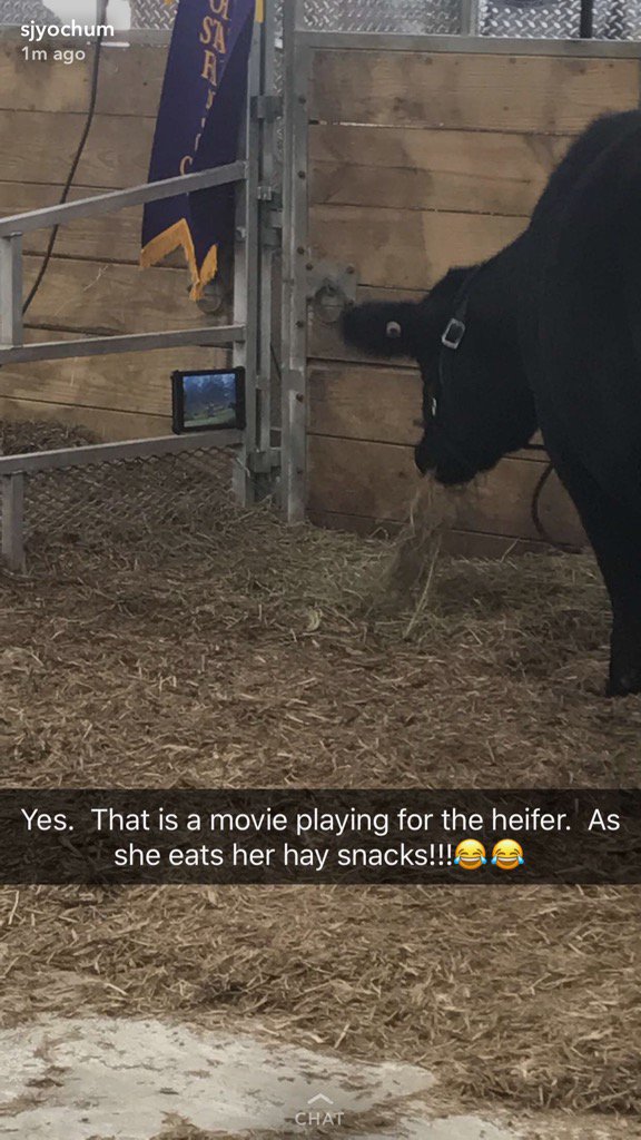 jbradleyhook's tweet photo. I have seen it ALL now... https://t.co/yi74sqmrq3