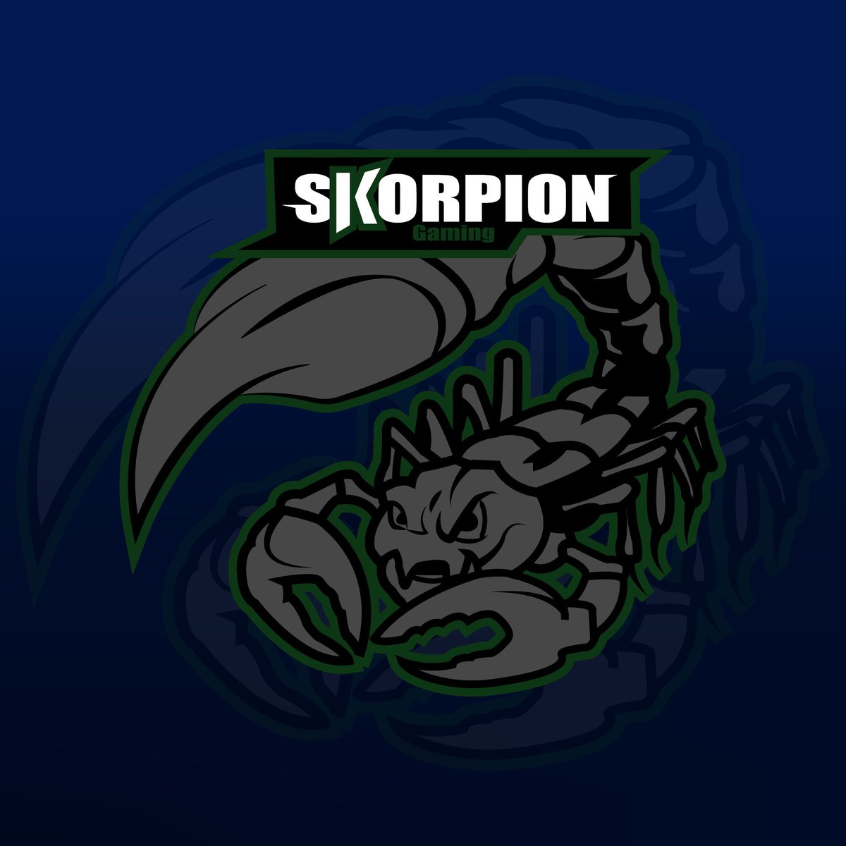 SkorpionGaming_'s tweet photo. ❗️🦂EN 1 HORA APROXIMADAMENTE TENEMOS LA PRIMERA PARTIDA DE @DS_LoL_LAS 🦂❗️ #VamosSkorpion #SkorpionGaming #LeagueOfLegendsLAS https://t.co/imQvir5O93