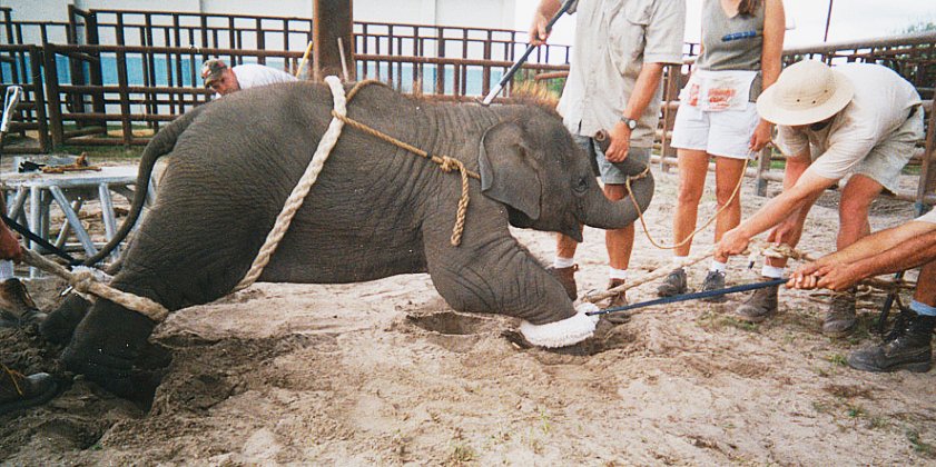 TIERRA SANA tweet media