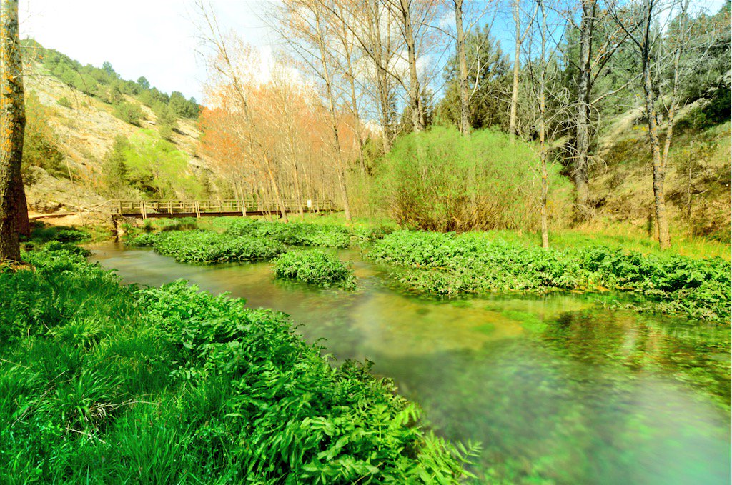 campingurbion's tweet photo. Hoy estamos de excursión en el Espacio Natural La Fuentona 🌿 #excursionesguiadas #actividades #verano #campingurbion https://t.co/8Nkq9dGtkp