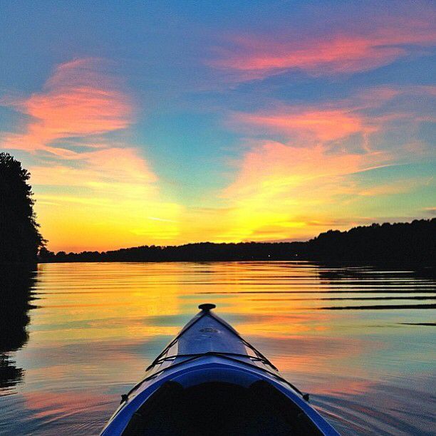 inspirevalley's tweet photo. We are made to persist. That's how we find out who we are
—Tobias Wolff

Have a wonderful Sunday ☀️ https://t.co/W77YKQwe0R