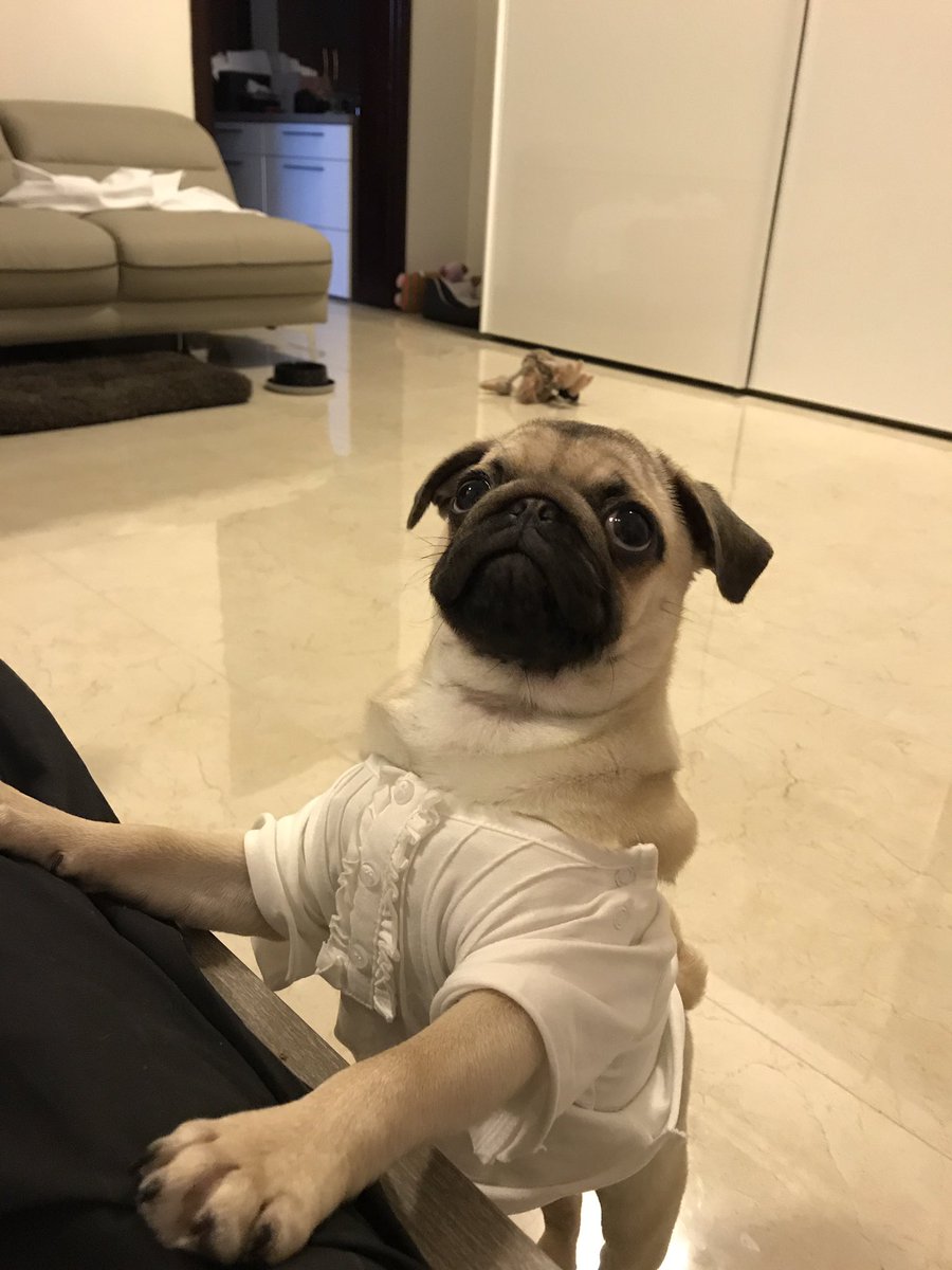iimosx's tweet photo. انا عندي ذي واعدل فيديو اليوم 😂 https://t.co/CPHpxCSiOg