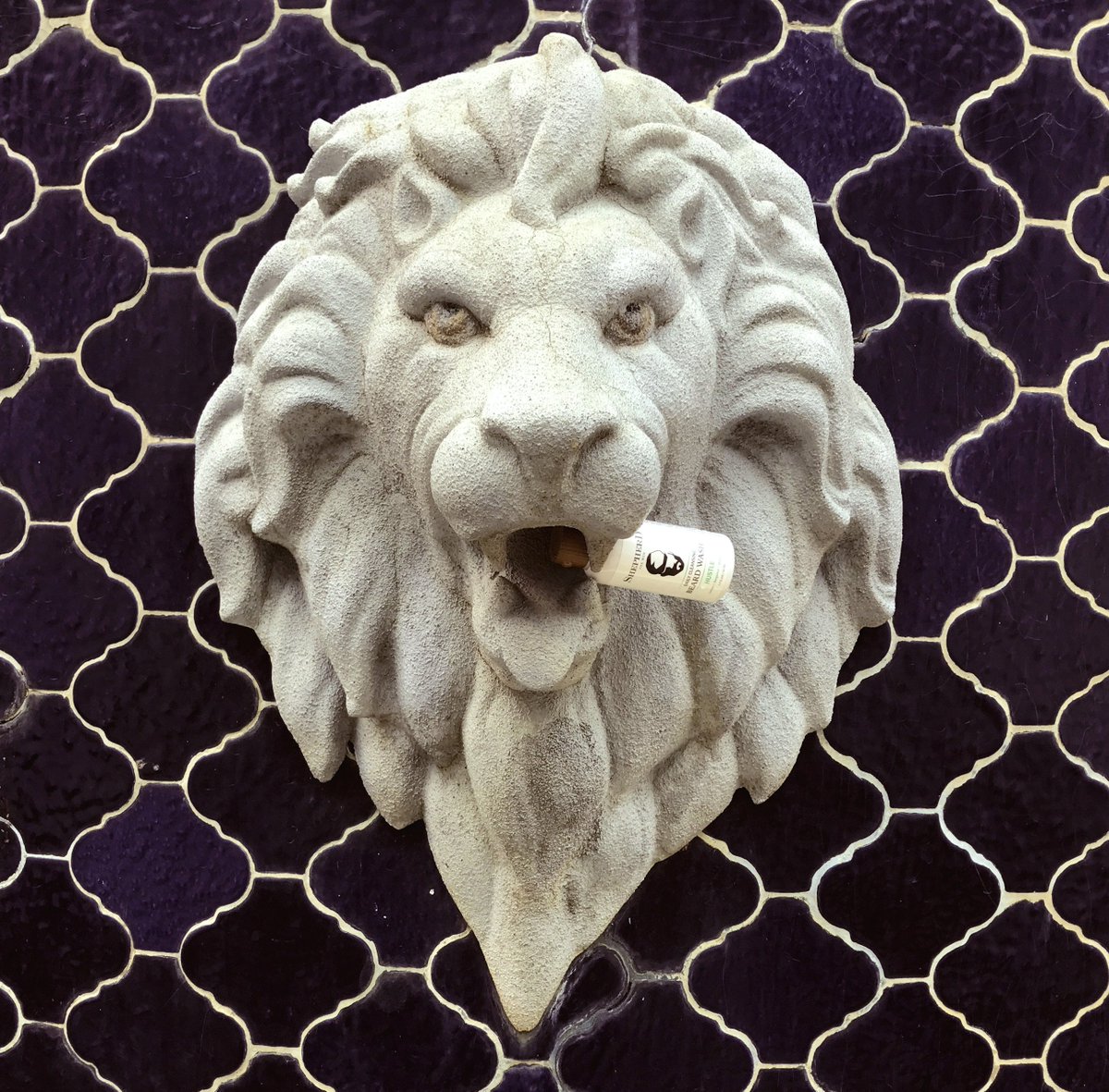 shepherdformen's tweet photo. Tame that wild beard!
#ShepherdForMen #beardwash #ambition #hustle #empire #essentials #malegrooming #mensgroomingproducts #grooming #luxury https://t.co/vgrcMUTn4k