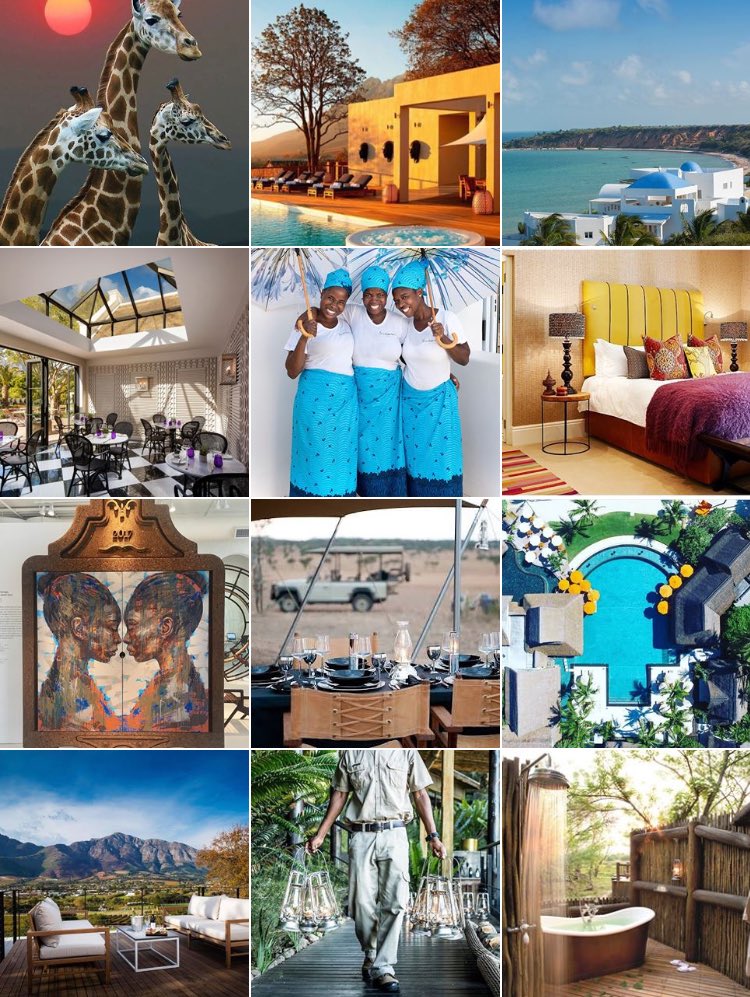 Follow us in instagram.com/travelconcepts… for your daily dose of luxurious Africa travel inspiration