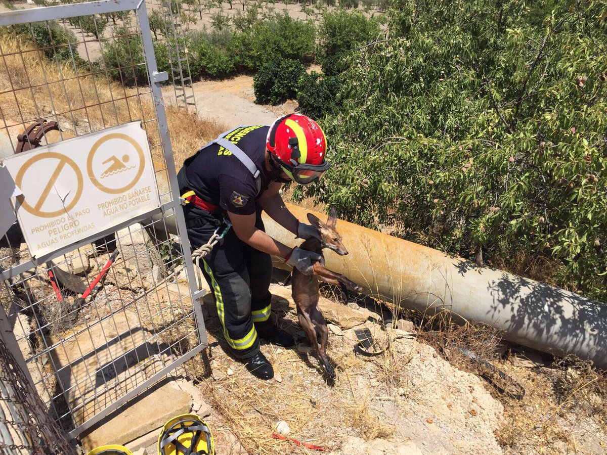 112PtoLumbreras's tweet photo. 11:45 Aviso de rescate, animal ahogándose en un pantano. Rescatado con éxito. 33VIR03 con personal de guardia. https://t.co/chA96J2ty6