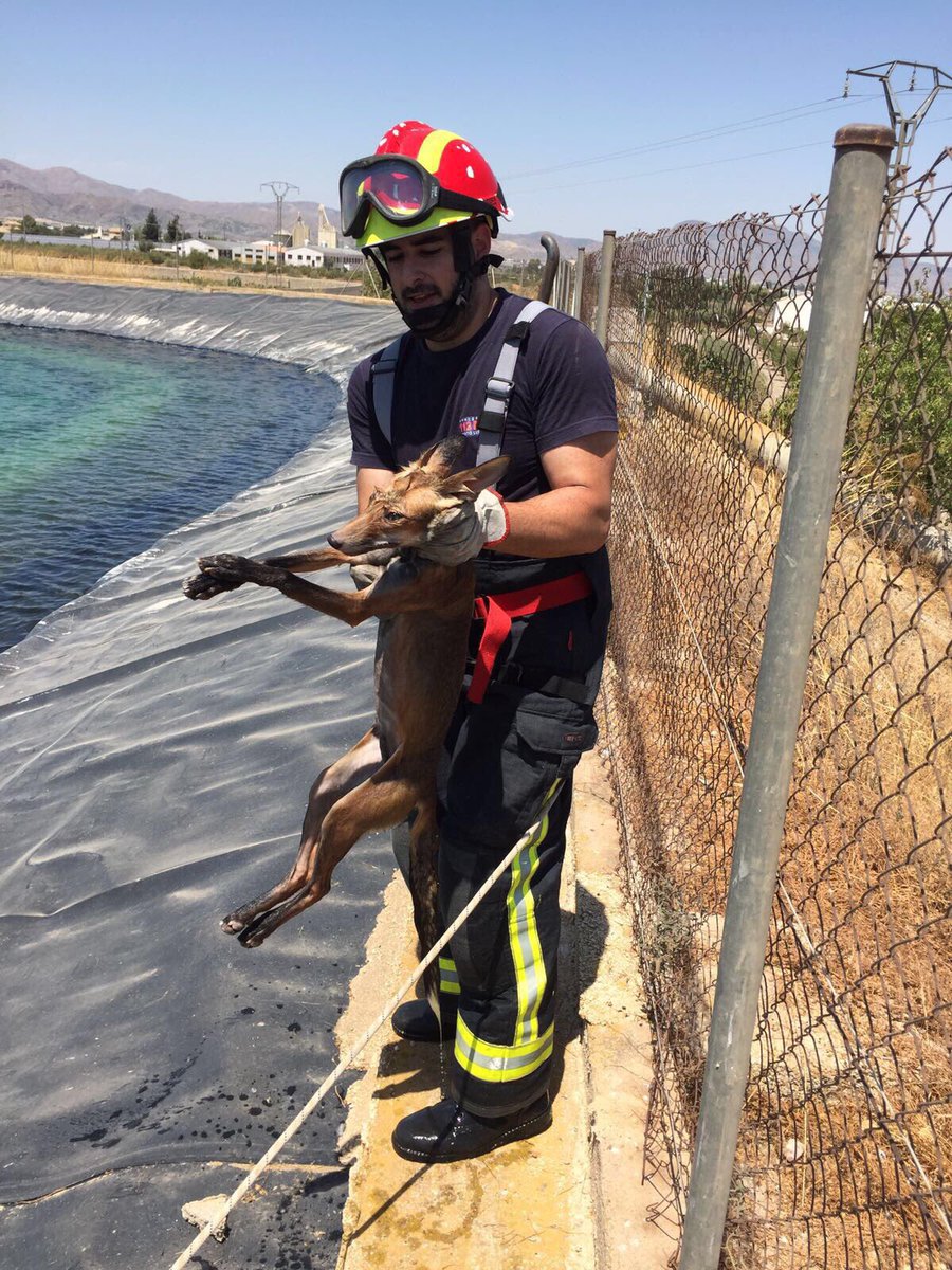 112PtoLumbreras's tweet photo. 11:45 Aviso de rescate, animal ahogándose en un pantano. Rescatado con éxito. 33VIR03 con personal de guardia. https://t.co/chA96J2ty6