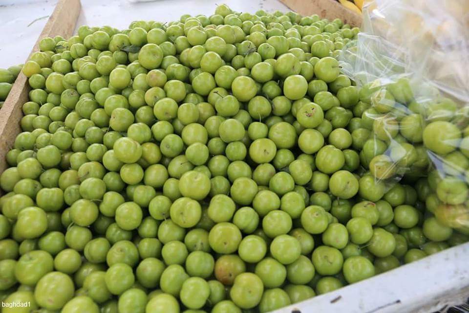 a_hamlet's tweet photo. حلاوة الصيف 😍
Insta @3raqcom https://t.co/8gyTiPRzpz