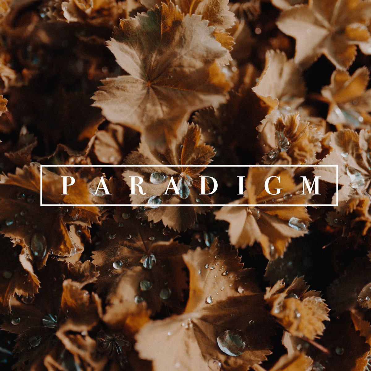 Remenitions's tweet photo. Who's excited for our new single Paradigm tomorrow 6pm.
#Paradigm #remenitions https://t.co/6SI5hXNDsK