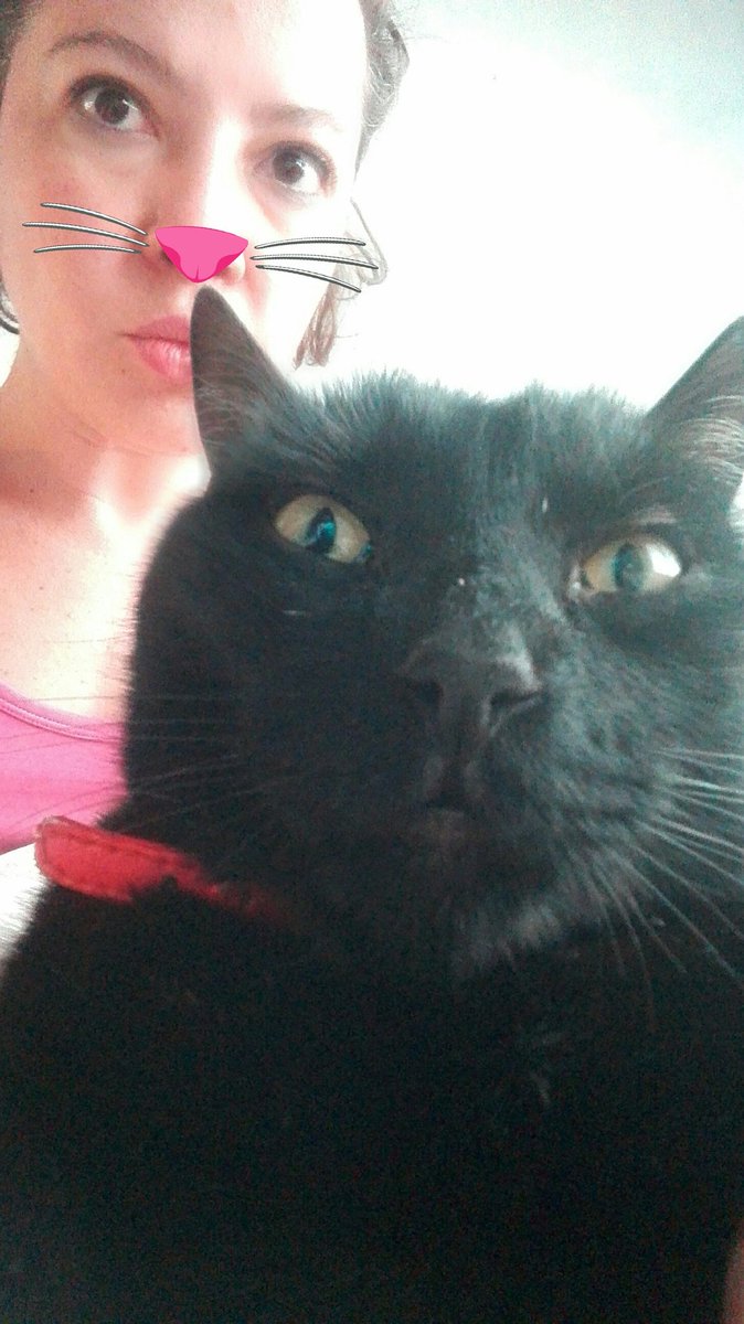 PiccottoMarce's tweet photo. #goodmorning #despertamos #Domingo #Bomdia #meandcat #catlove https://t.co/0cmHT1RBUK