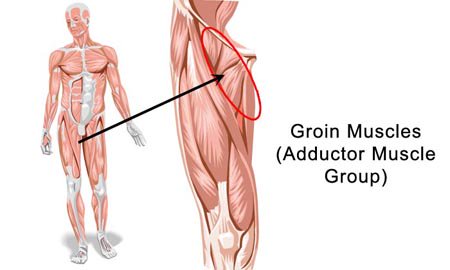 T NATION on X: What to do when the groin area gets tight: https