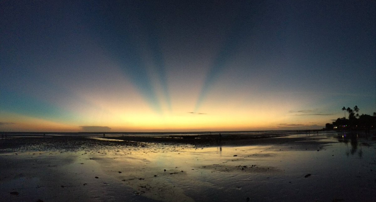 ReginaMBrazil's tweet photo. When the light is shining within you the Universe answer! 😍🌞☀️💕#sun #sunshine #magicuniverse #sunset #jeribrazil #sunsetcearabrazil #peace https://t.co/zdETCWacji