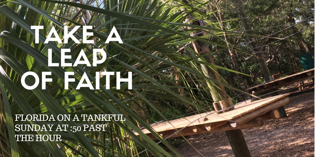 ScottFaisFun tweet media