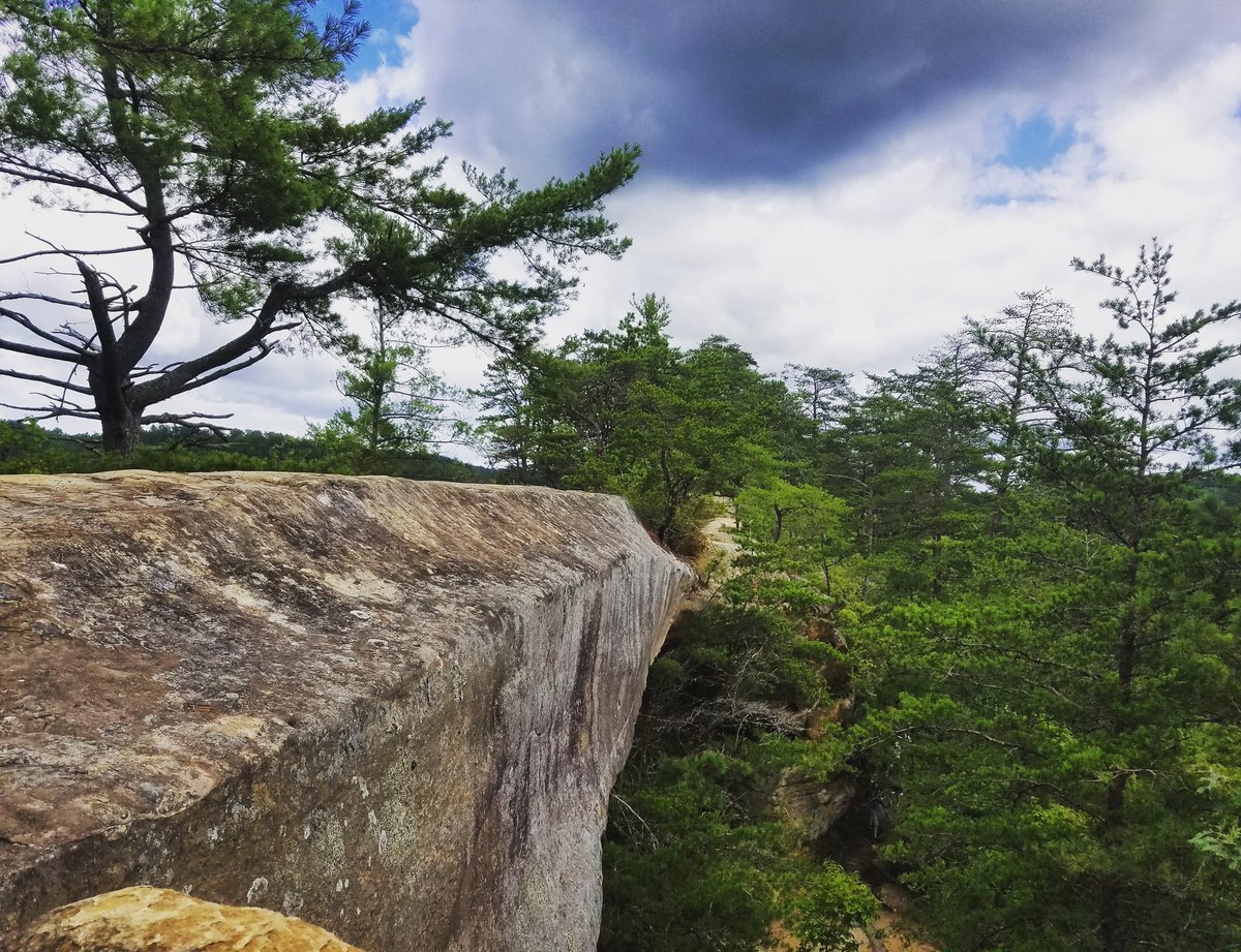 HikingRRG's tweet photo. We are loving the #Kentucky weather right now. Awesome day for a #hike! https://t.co/wWG3EyhaMP