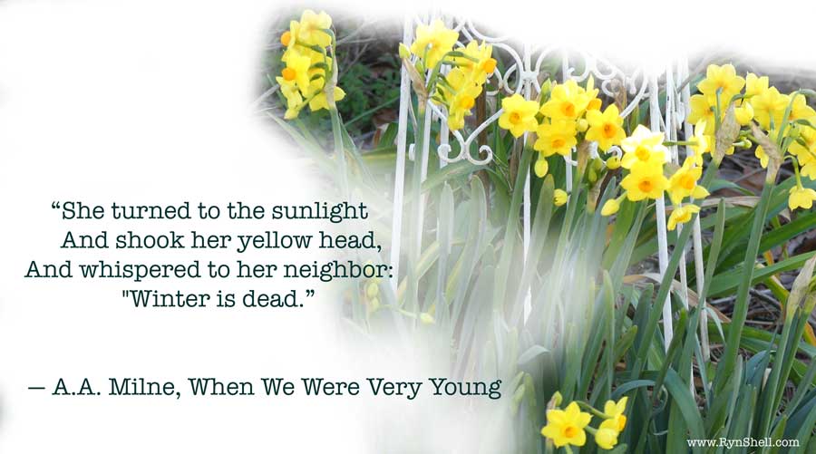 SultryBlume's tweet photo. My garden inspirations https://t.co/soPGsrP39u #inspirations. https://t.co/DK7CjaeJ4y