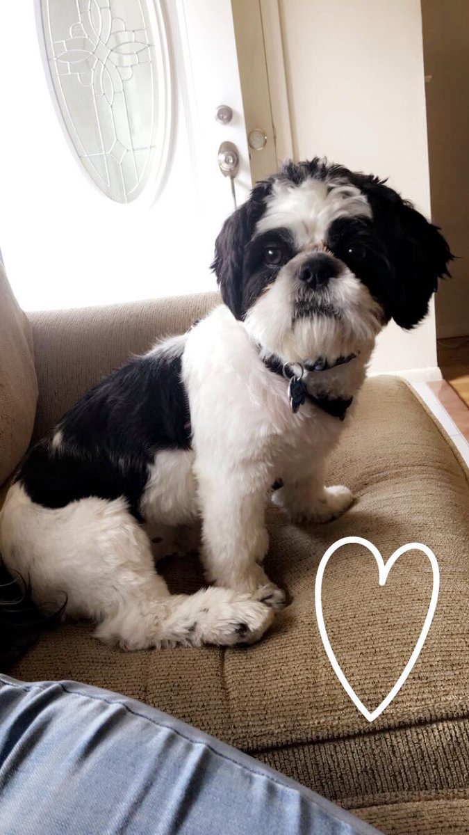 alyssingravallo's tweet photo. @AmyFreeze7 good morning from Alvin! https://t.co/Uuvg0VsHTx
