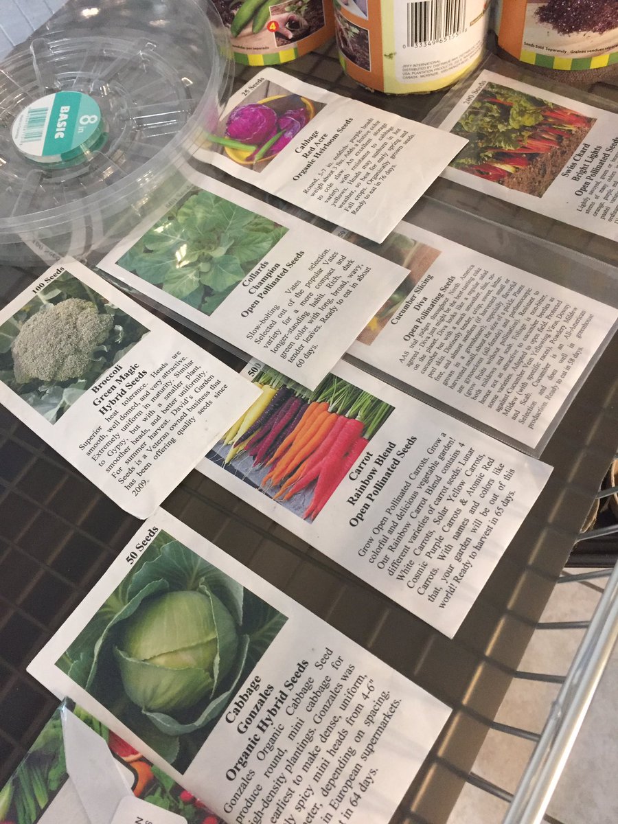 WalzemYA's tweet photo. Starting seeds for our Fall garden! We will also welcome the Junior Master Garden program@Walzem! #walzemjmg #walzemya #walzemyurbangarden https://t.co/kLZBneimJP