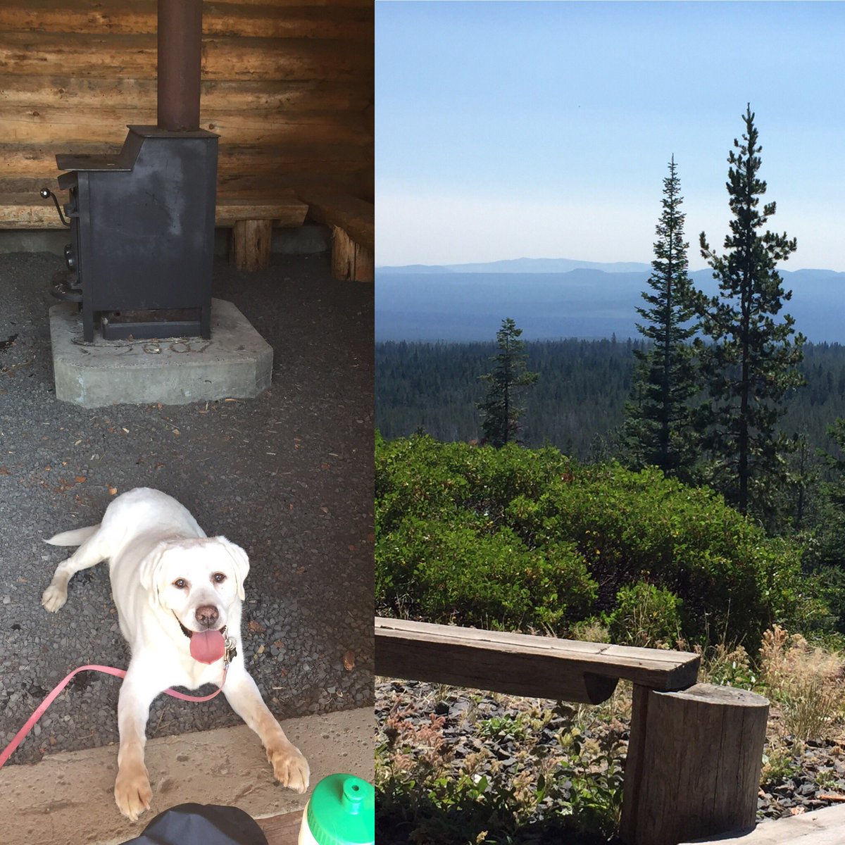 7trekky's tweet photo. ☀️sky above, earth 🌍below, peace 💫within 🐾❤️have a joyful day friends💕🌸🍃#NordeenSnowHut #PNW #pnwonderland #ExplorerDog https://t.co/tHmupoUczj