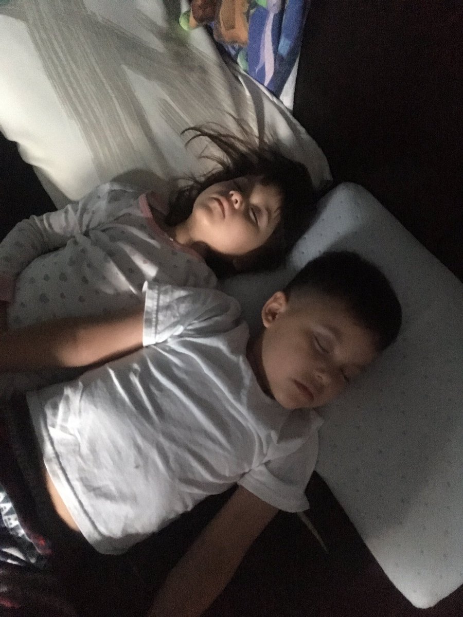 AlmaAlmizdely's tweet photo. Ayer en la mañana invadieron mi cama #Cuatitos #Betito #Monty 👩👧👦😍🙏🏻❤️😀😍 https://t.co/qnxmKxFYlk