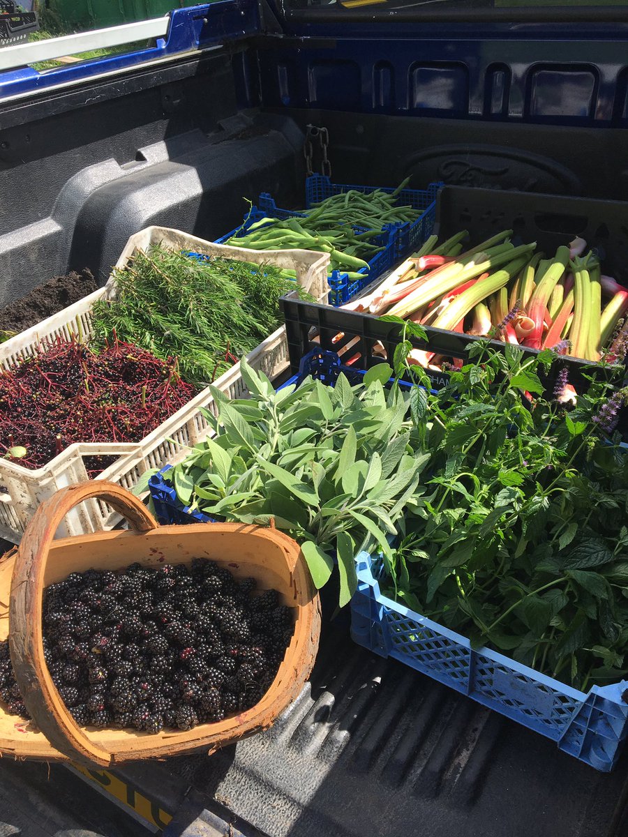 DeesonsBritish's tweet photo. Just been picking and foraging some fruit, veg and herbs for you @CallumBC. Enjoy 👌
#Bunker 
#LocalMenu
#Smallholding 
#British https://t.co/kFXdqy55YF