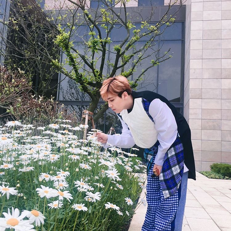 z1CWRhc4Q9VrK4X's tweet photo. 💛中３です���
💛ホンギよりのallです💕
💛神奈川住みです！
#Twitter上にいるFTISLANDペンさん全員と繋がるのが密かな夢だったりするのでとりあえずこれを見たFTISLANDペンさんはRTとフォローしていただけると全力でフォローしに行きます https://t.co/mssk5akULh