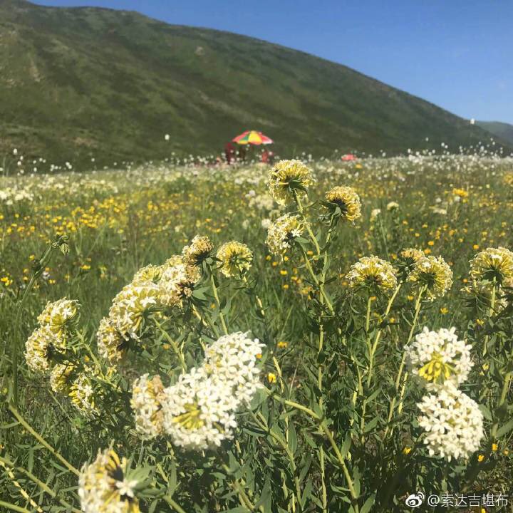 索达吉堪布 (@khenposodargyec) on Twitter photo 