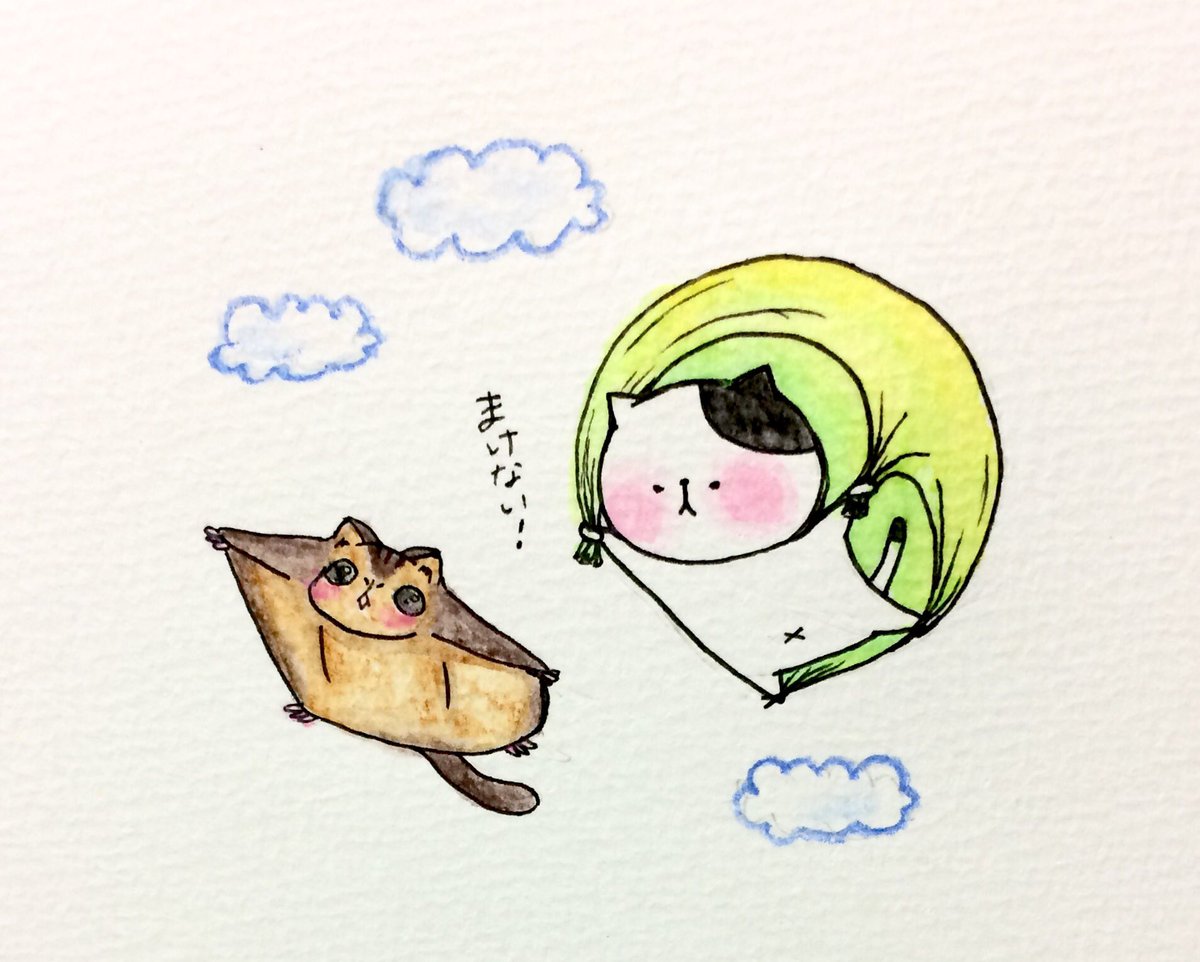 おこにゃん Twitter પર まけない モモンガ 空 飛ぶ 雲 まけない 猫 にゃんこ イラスト 可愛い 1日1絵 癒し 絵描き人 手描き Followme Cats