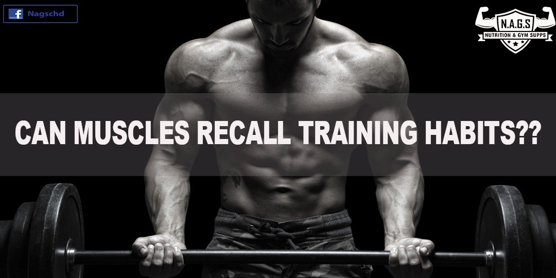 Nagschd's tweet photo. for full topic visit 
https://t.co/SFg6vGgj3N

twitter follw @Nagschd 
www,https://t.co/M53M70Rkeb

#nags #nagschd #nutritionandgymsupps https://t.co/sM0zEXTkqd