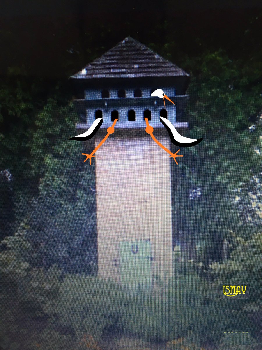 Ismay88 tweet picture