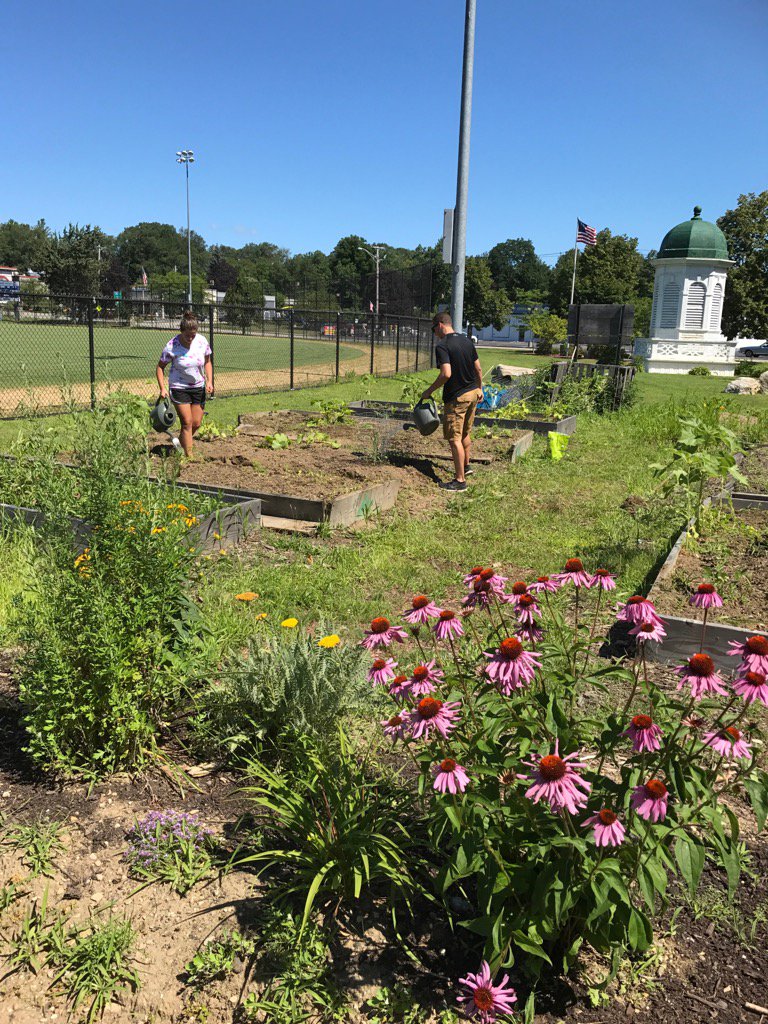 AHSeberg's tweet photo. Beautiful Sunday morning for gardening with my favorite Students for the Environment! #weedorfood? https://t.co/kRMeo93AH5
