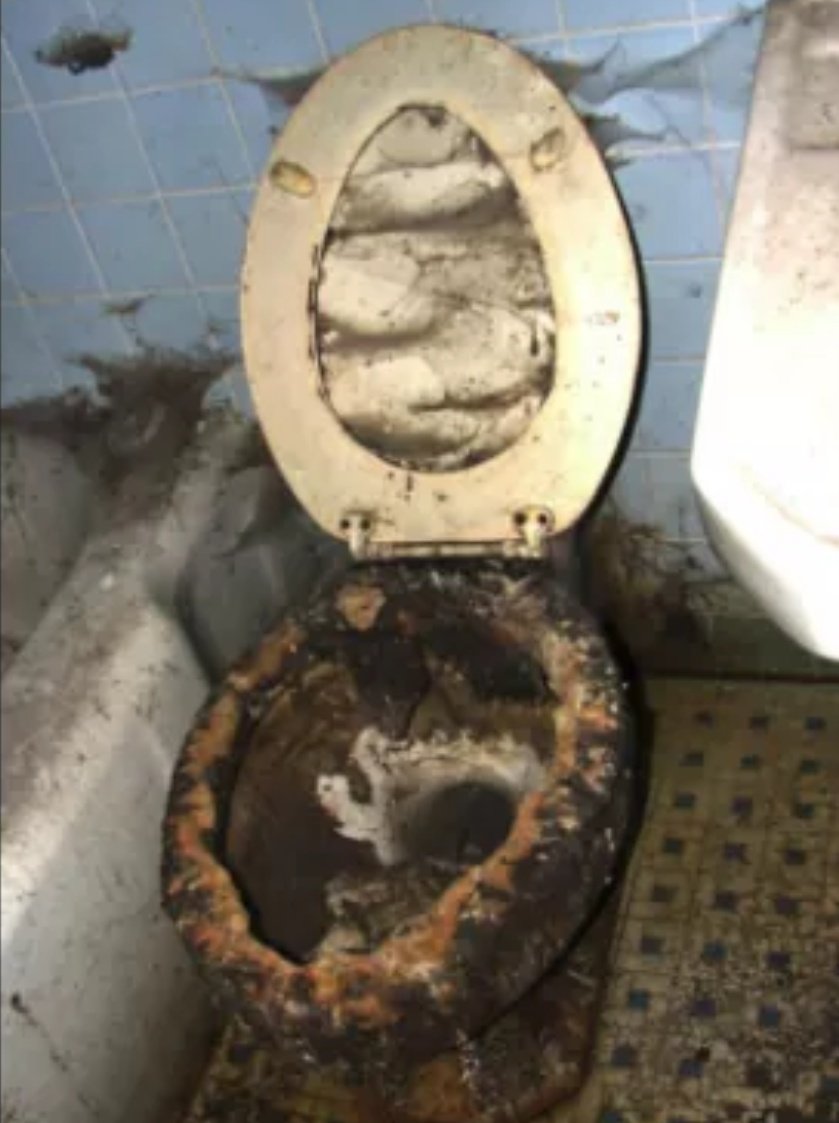 TemooTitan's tweet photo. Clean this toilet with your tounge or a month in Prison 😨🤔??! https://t.co/cKVImdSlaG