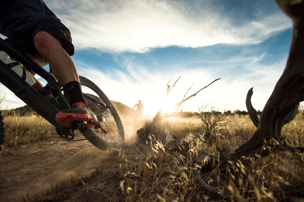 Happy Summer Sale! Stop in through August 6 for $200 off select bikes. pbxx.it/5vm6il