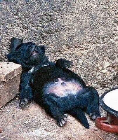 When you just can't adult today 😁😁😁😁