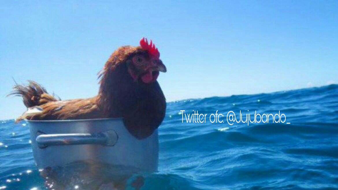 Jujubando_'s tweet photo. a galinha sem rumo na vida passando na sua timeline repasse se vc está sem rumo tb https://t.co/sTmYd4H5Nj